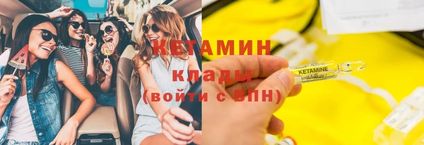 крисы Няндома