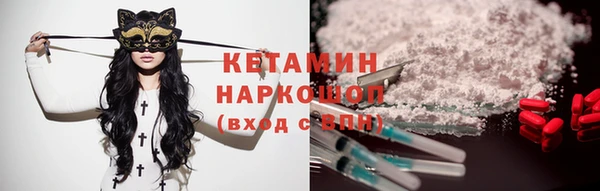крисы Няндома