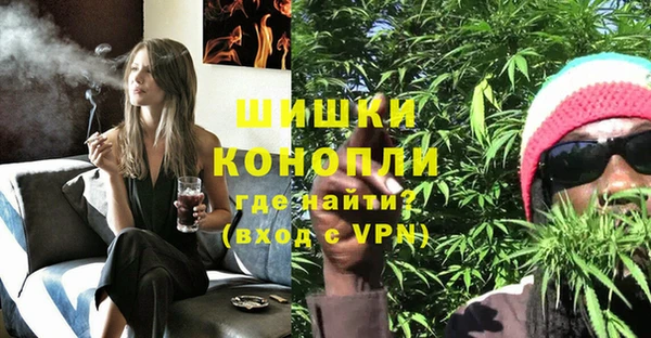 крисы Няндома
