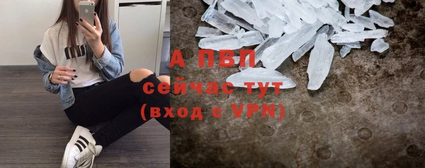 крисы Няндома
