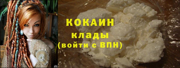 крисы Няндома